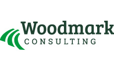 Woodmark Consulting AG