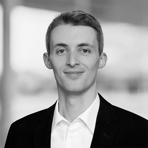 Schott, Dominik