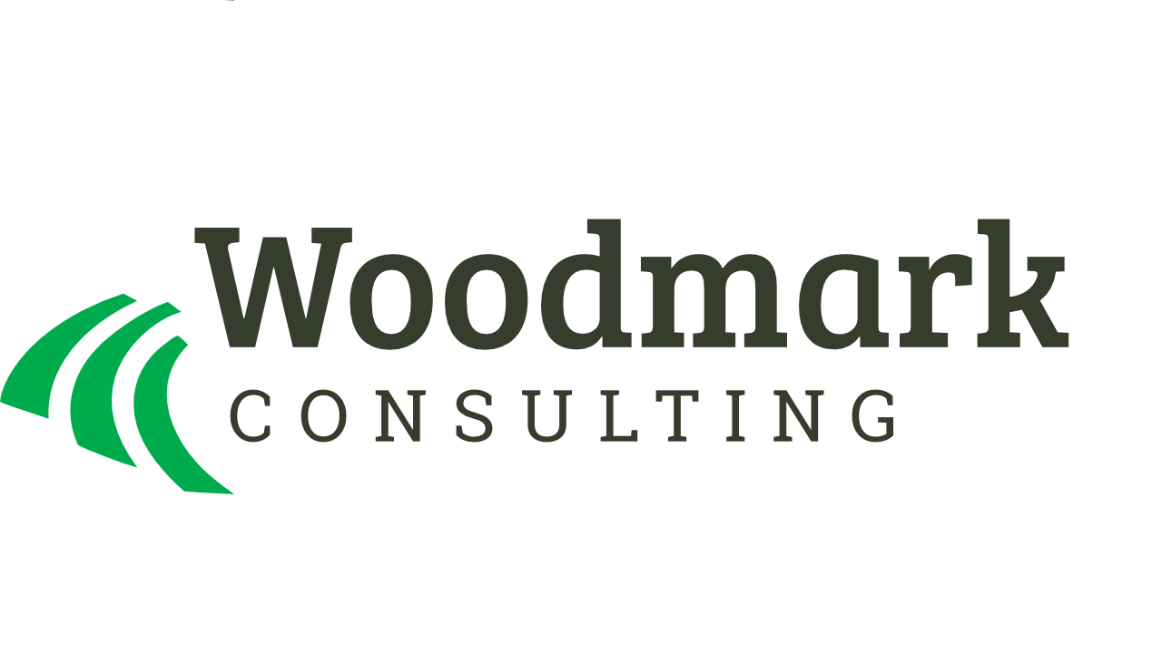 Woodmark Consulting AG